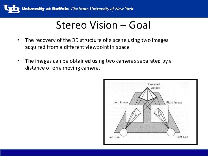 Stereo Vision – Goal • The recovery of the 3 D structure of a