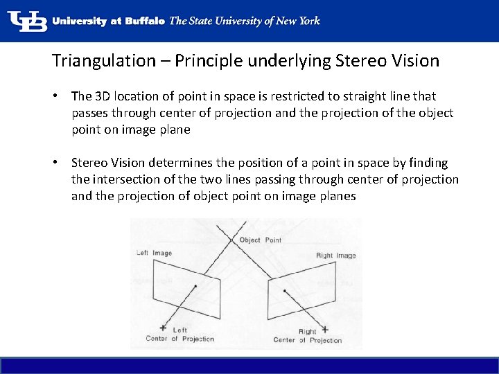 Triangulation – Principle underlying Stereo Vision • The 3 D location of point in