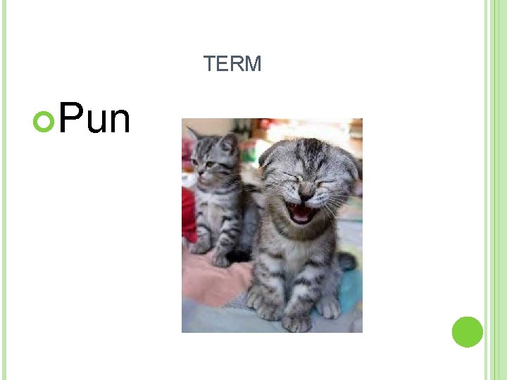 TERM Pun 