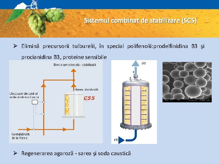 Sistemul combinat de stabilizare (SCS) Ø Elimină precursorii tulburelii, în special polifenolii: prodelfinidina B