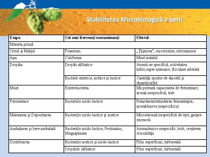 Stabilitatea Microbiologică a berii Etapa Cei mai frecvenţi contaminanţi Cauzele instabilităţii microbiologice : Efectul