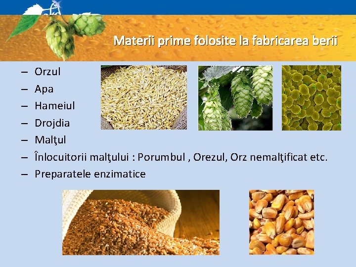 Materii prime folosite la fabricarea berii – – – – Orzul Apa Hameiul Drojdia