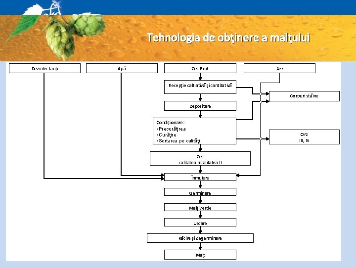 Tehnologia de obţinere a malţului Dezinfectanţi Apă Orz Brut Aer Recepţie caltiativă şi cantitativă