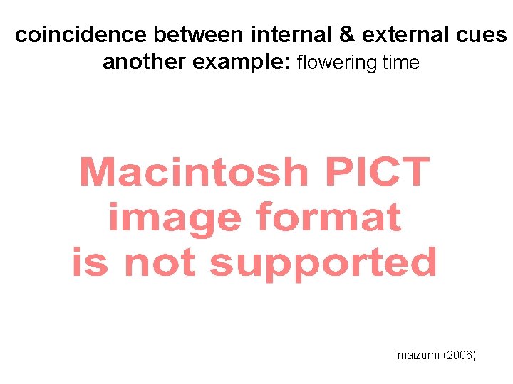 coincidence between internal & external cues another example: flowering time Imaizumi (2006) 