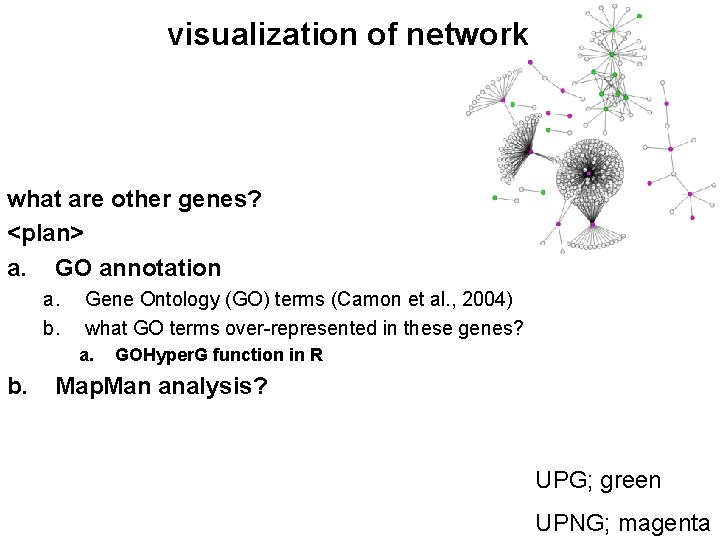 visualization of network what are other genes? <plan> a. GO annotation a. b. Gene