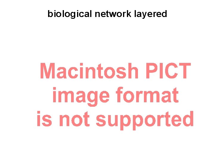 biological network layered 