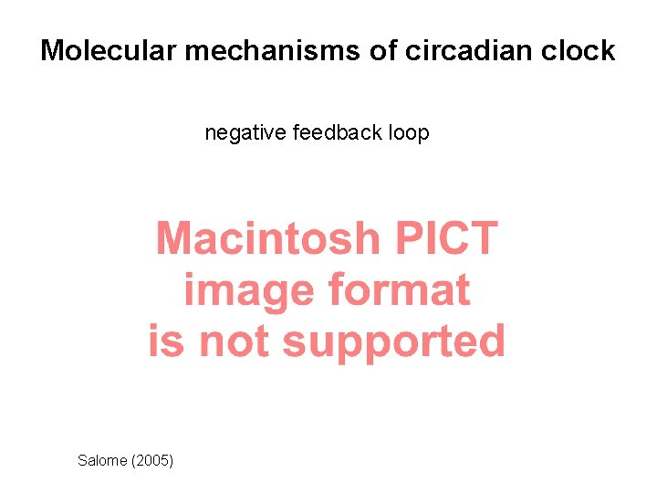 Molecular mechanisms of circadian clock negative feedback loop Salome (2005) 