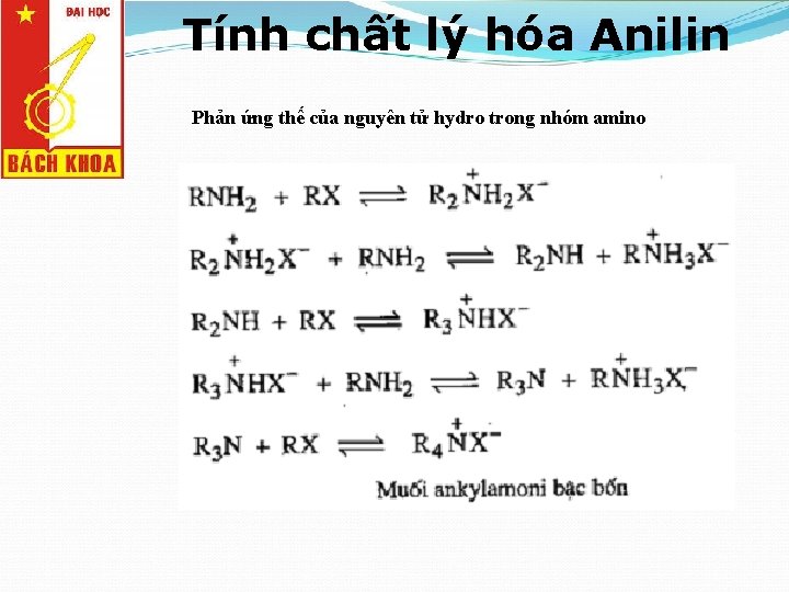 Tính chất lý hóa Anilin Phản ứng thế của nguyên tử hydro trong nhóm