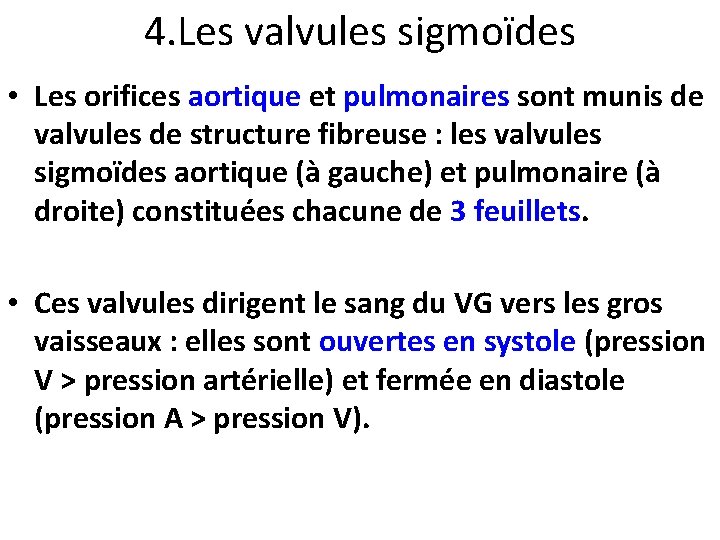 4. Les valvules sigmoïdes • Les orifices aortique et pulmonaires sont munis de valvules