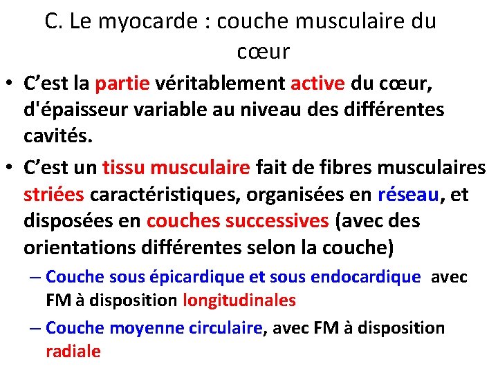 C. Le myocarde : couche musculaire du cœur • C’est la partie véritablement active