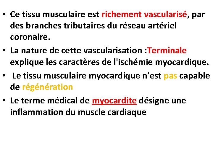  • Ce tissu musculaire est richement vascularisé, par des branches tributaires du réseau