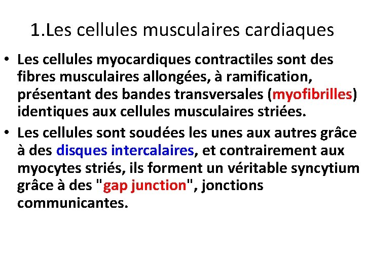 1. Les cellules musculaires cardiaques • Les cellules myocardiques contractiles sont des fibres musculaires