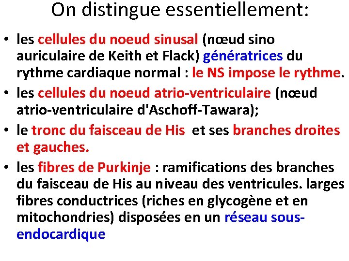 On distingue essentiellement: • les cellules du noeud sinusal (nœud sino auriculaire de Keith