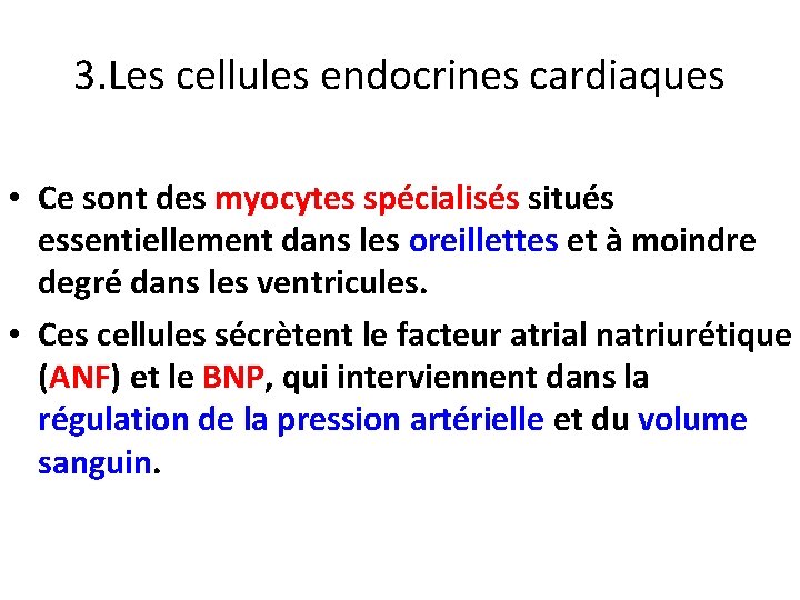 3. Les cellules endocrines cardiaques • Ce sont des myocytes spécialisés situés essentiellement dans