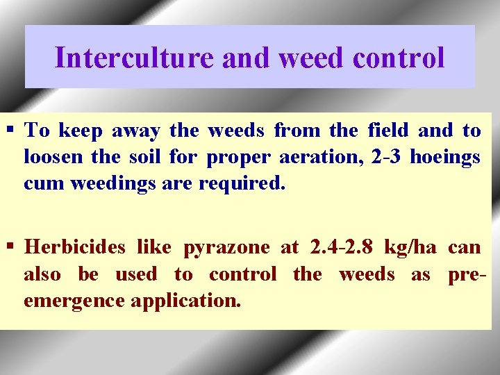 Interculture and weed control § To keep away the weeds from the field and