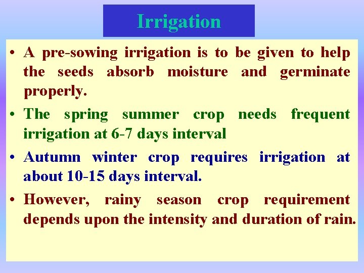 Irrigation • A pre-sowing irrigation is to be given to help the seeds absorb