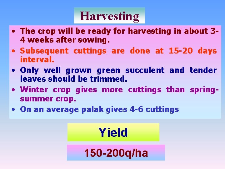 Harvesting • The crop will be ready for harvesting in about 34 weeks after