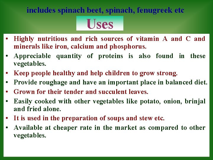 includes spinach beet, spinach, fenugreek etc Uses • Highly nutritious and rich sources of