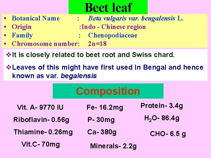  • • Beet leaf Botanical Name : Beta vulgaris var. bengalensis L. Origin