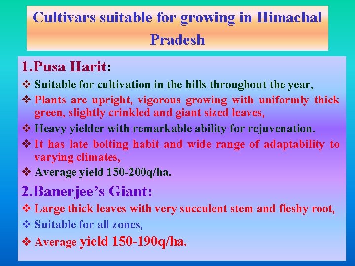 Cultivars suitable for growing in Himachal Pradesh 1. Pusa Harit: v Suitable for cultivation