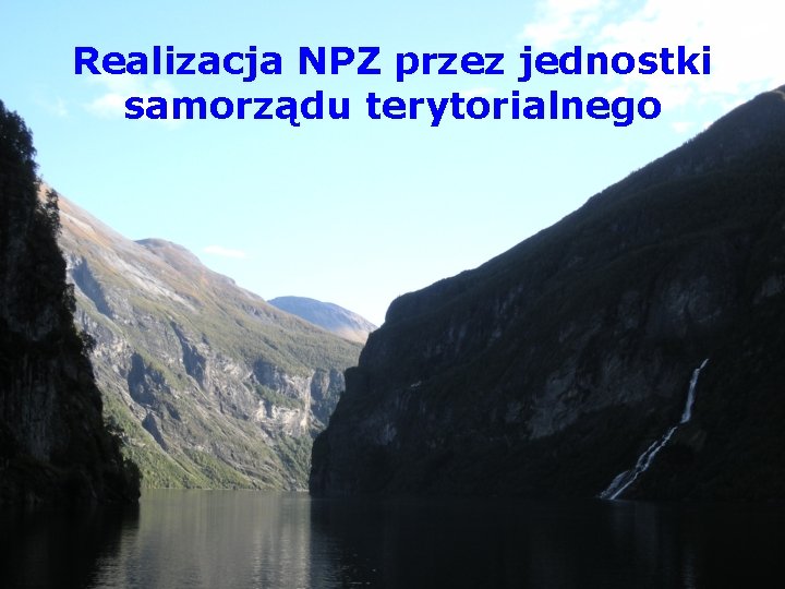 Realizacja NPZ przez jednostki samorządu terytorialnego 