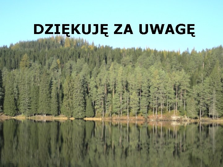 DZIĘKUJĘ ZA UWAGĘ 