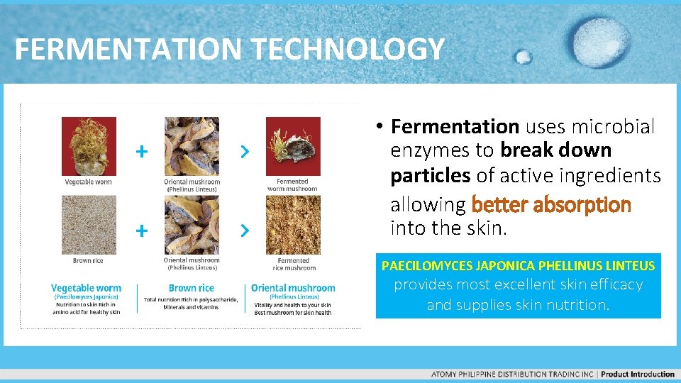 FERMENTATION TECHNOLOGY • Fermentation uses microbial enzymes to break down particles of active ingredients