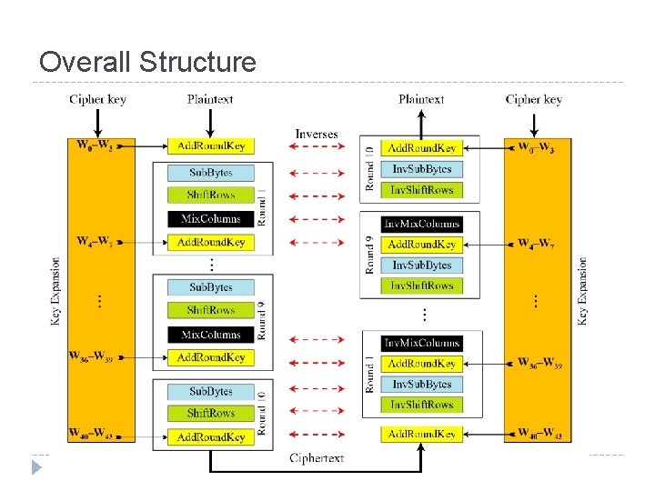 Overall Structure 