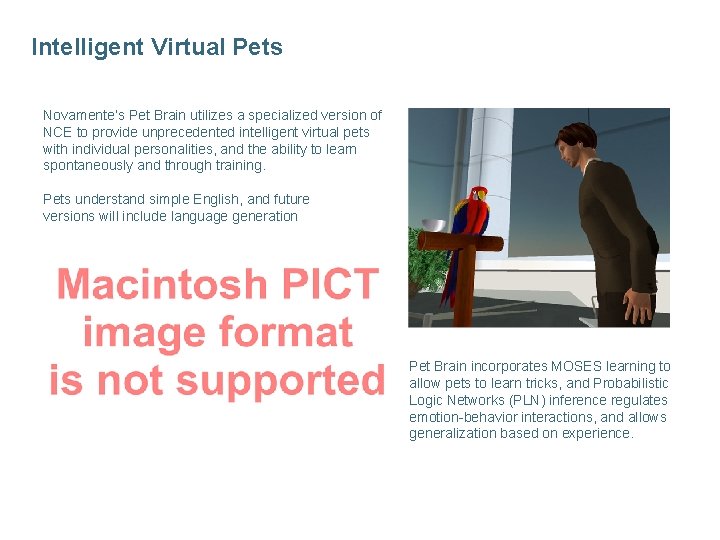 Intelligent Virtual Pets Novamente’s Pet Brain utilizes a specialized version of NCE to provide