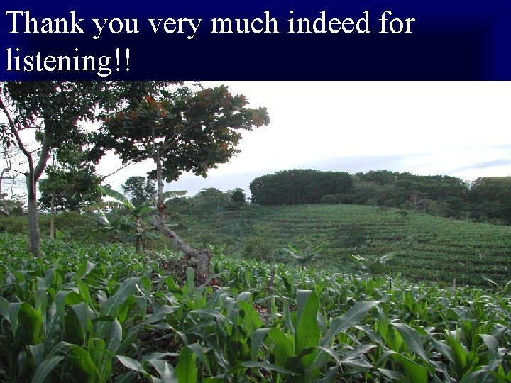 Thank you very much indeed for listening!! 