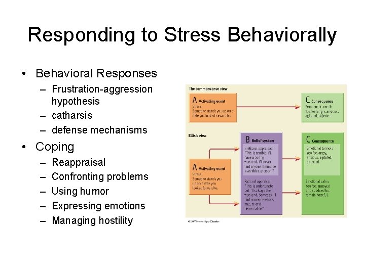 Responding to Stress Behaviorally • Behavioral Responses – Frustration-aggression hypothesis – catharsis – defense