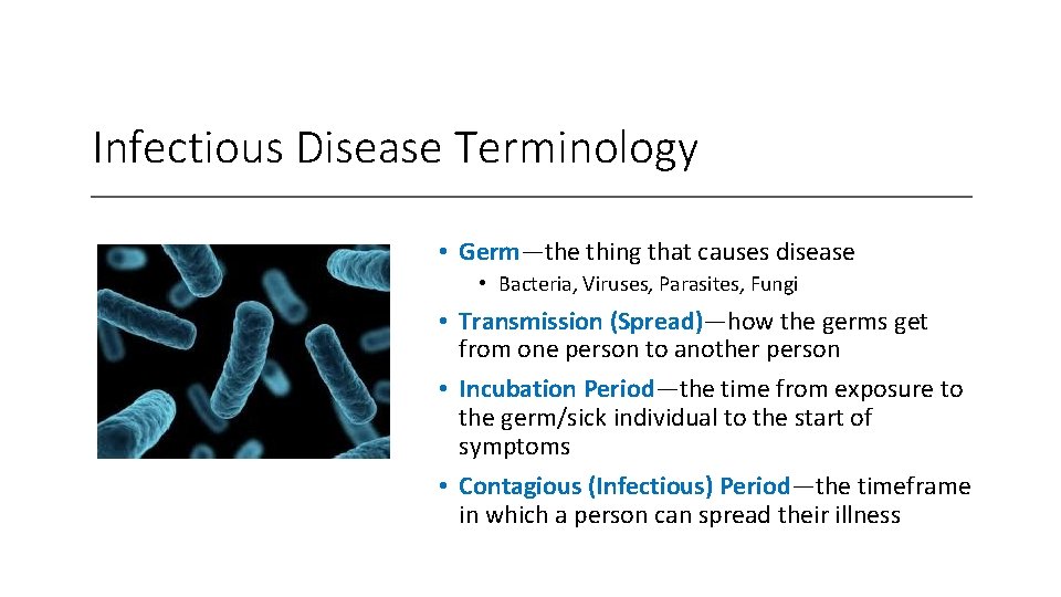 Infectious Disease Terminology • Germ—the thing that causes disease • Bacteria, Viruses, Parasites, Fungi