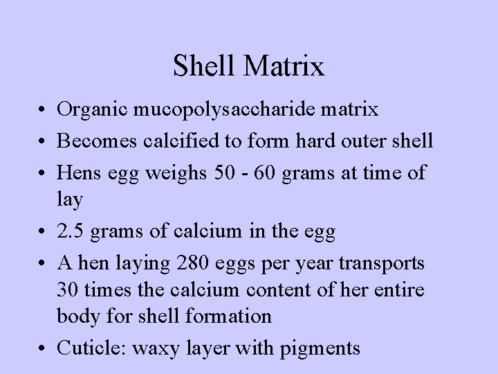 Shell Matrix • Organic mucopolysaccharide matrix • Becomes calcified to form hard outer shell