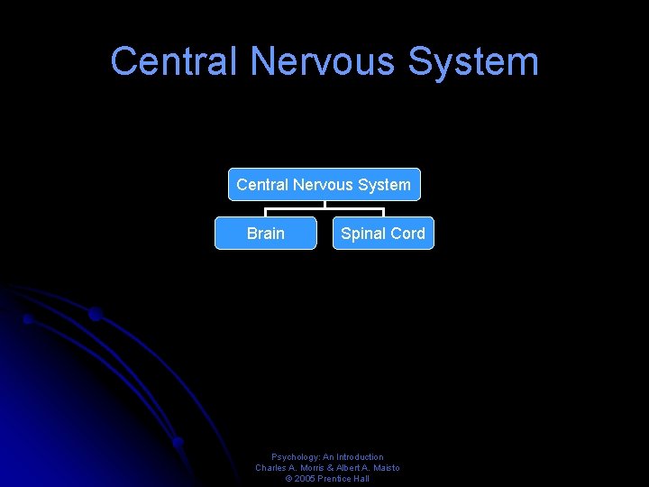 Central Nervous System Brain Spinal Cord Psychology: An Introduction Charles A. Morris & Albert