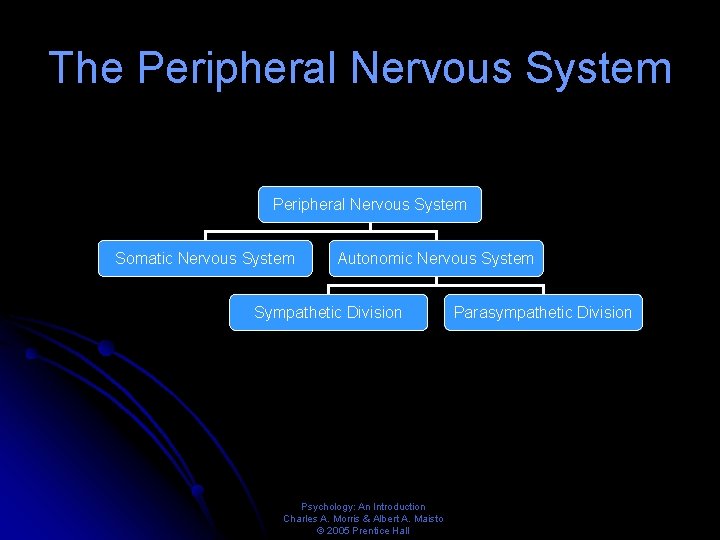 The Peripheral Nervous System Somatic Nervous System Autonomic Nervous System Sympathetic Division Psychology: An