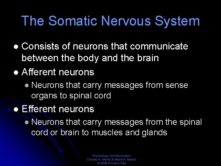 The Somatic Nervous System Consists of neurons that communicate between the body and the