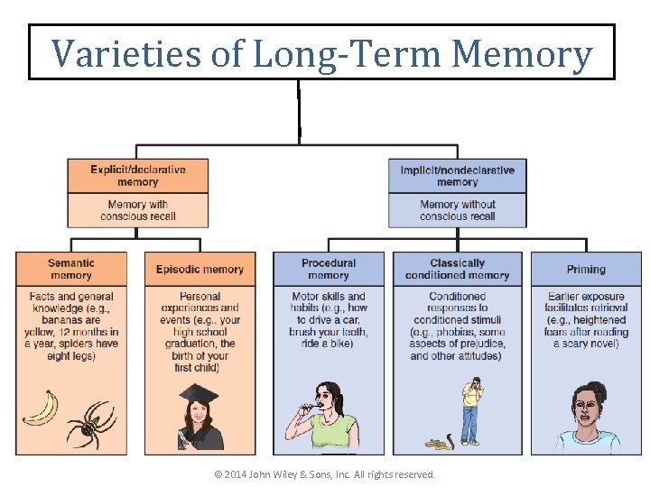 Varieties of Long-Term Memory © 2014 John Wiley & Sons, Inc. All rights reserved.