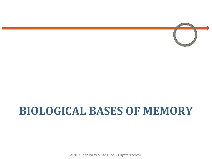 BIOLOGICAL BASES OF MEMORY © 2014 John Wiley & Sons, Inc. All rights reserved.