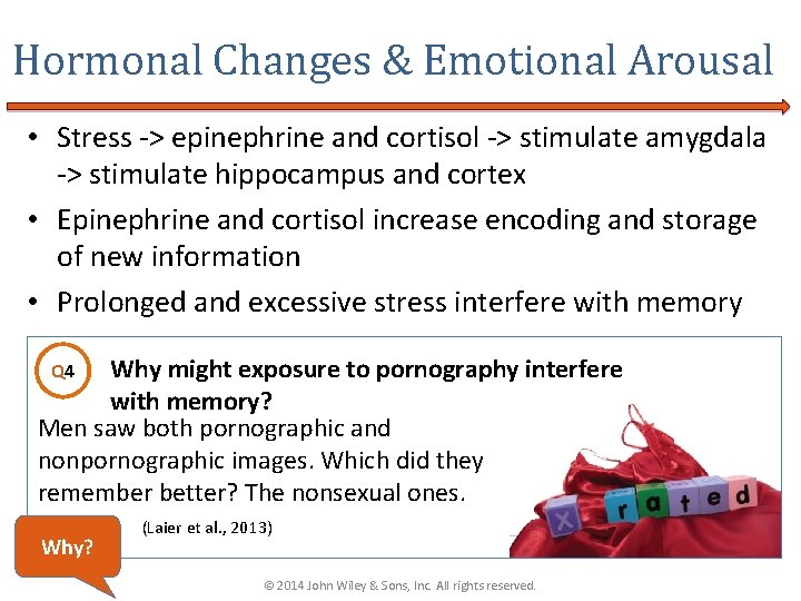 Hormonal Changes & Emotional Arousal • Stress -> epinephrine and cortisol -> stimulate amygdala