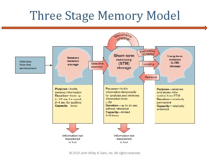 Three Stage Memory Model © 2014 John Wiley & Sons, Inc. All rights reserved.