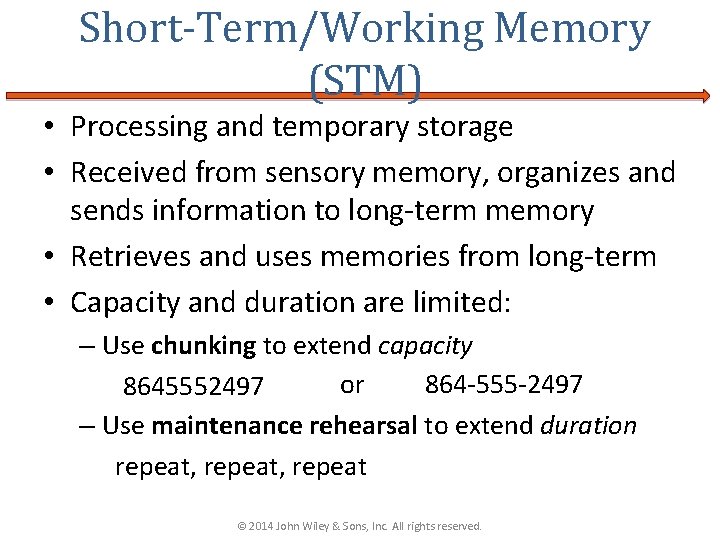 Short-Term/Working Memory (STM) • Processing and temporary storage • Received from sensory memory, organizes