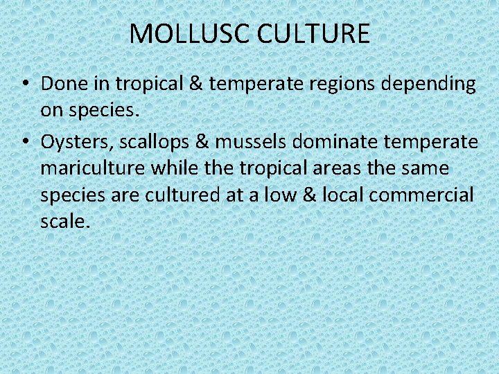 MOLLUSC CULTURE • Done in tropical & temperate regions depending on species. • Oysters,