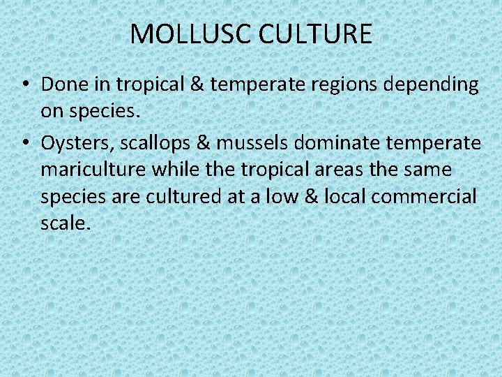 MOLLUSC CULTURE • Done in tropical & temperate regions depending on species. • Oysters, MOLLUSC CULTURE • Done in tropical & temperate regions depending on species. • Oysters,