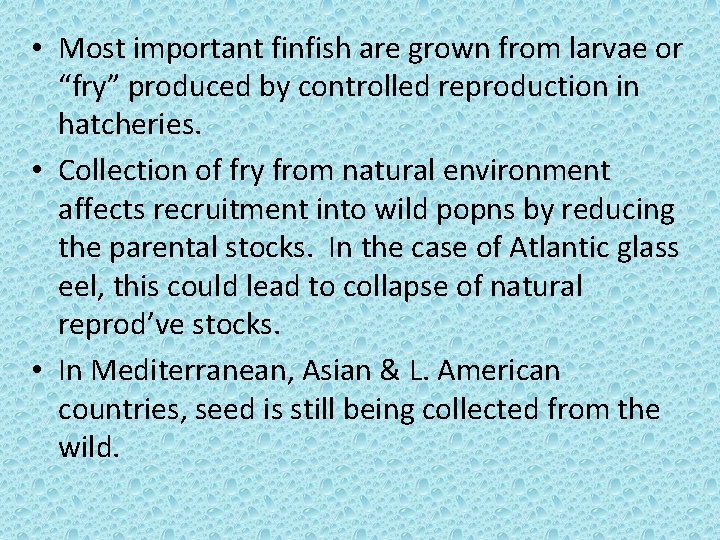  • Most important finfish are grown from larvae or “fry” produced by controlled