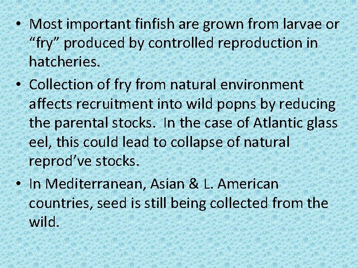 • Most important finfish are grown from larvae or “fry” produced by controlled • Most important finfish are grown from larvae or “fry” produced by controlled