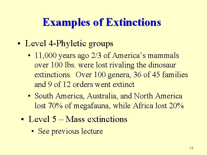 Examples of Extinctions • Level 4 -Phyletic groups • 11, 000 years ago 2/3