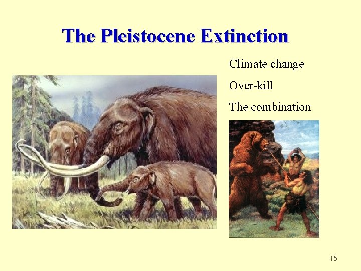 The Pleistocene Extinction Climate change Over-kill The combination 15 