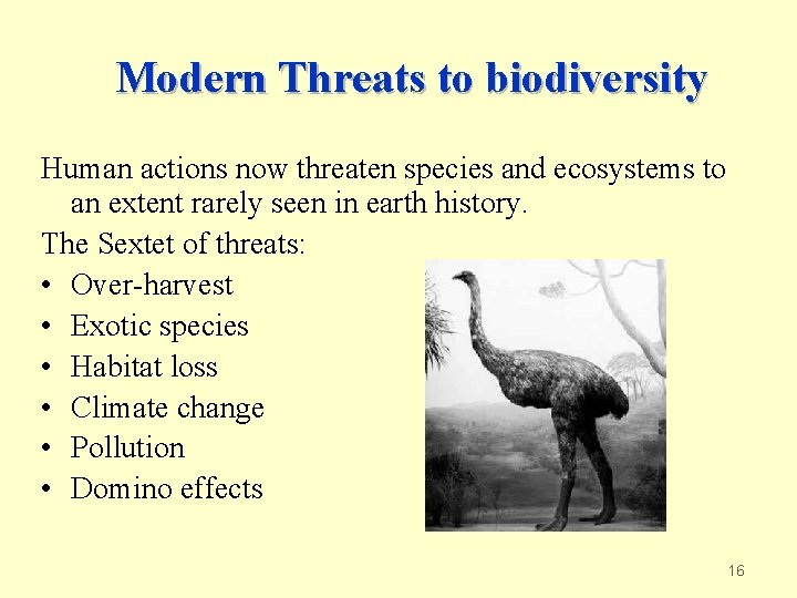 Modern Threats to biodiversity Human actions now threaten species and ecosystems to an extent