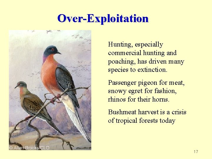 Over-Exploitation Hunting, especially commercial hunting and poaching, has driven many species to extinction. Passenger