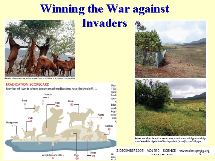 Winning the War against Invaders 23 